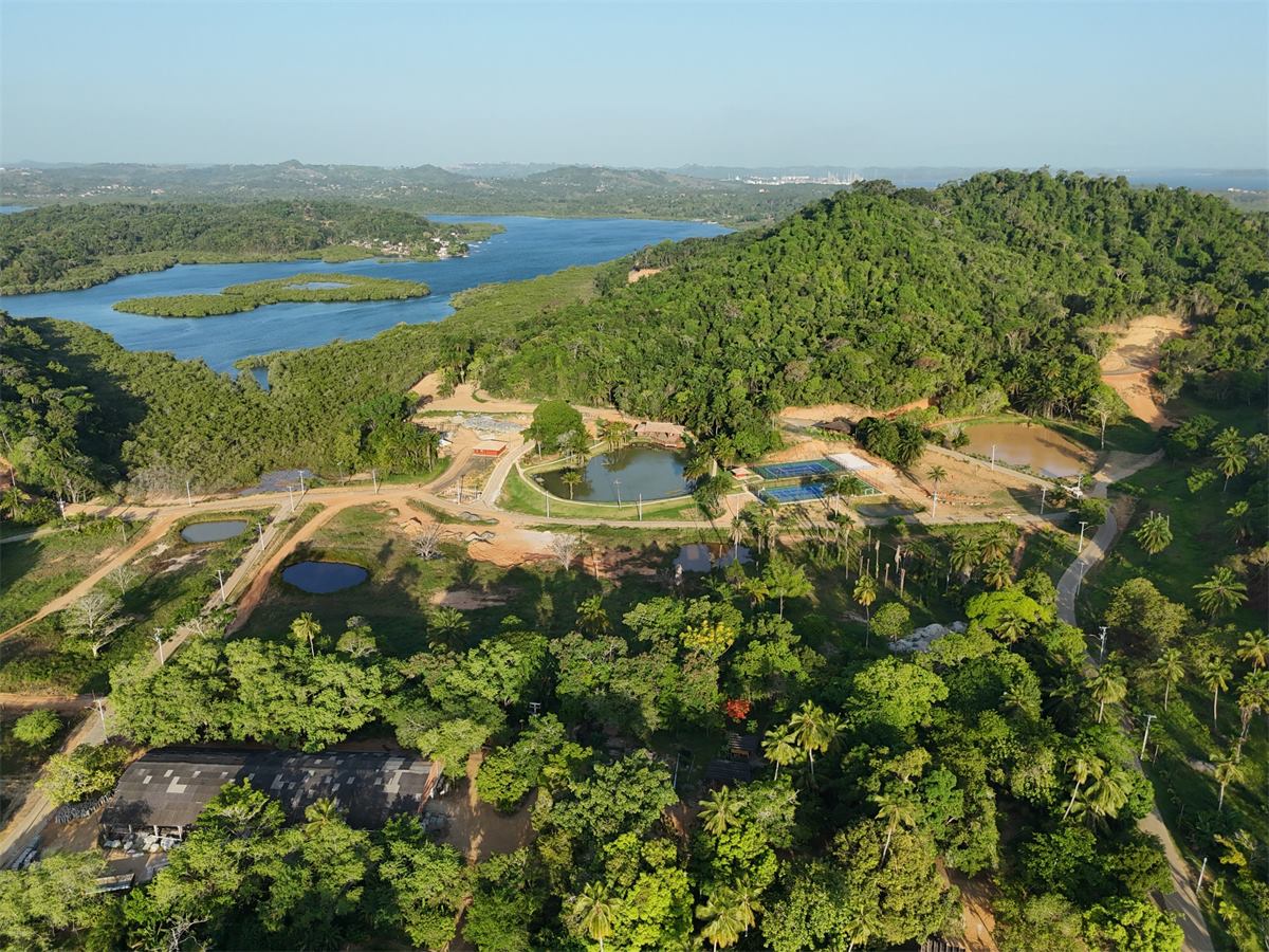 Ilha Bimbarras
