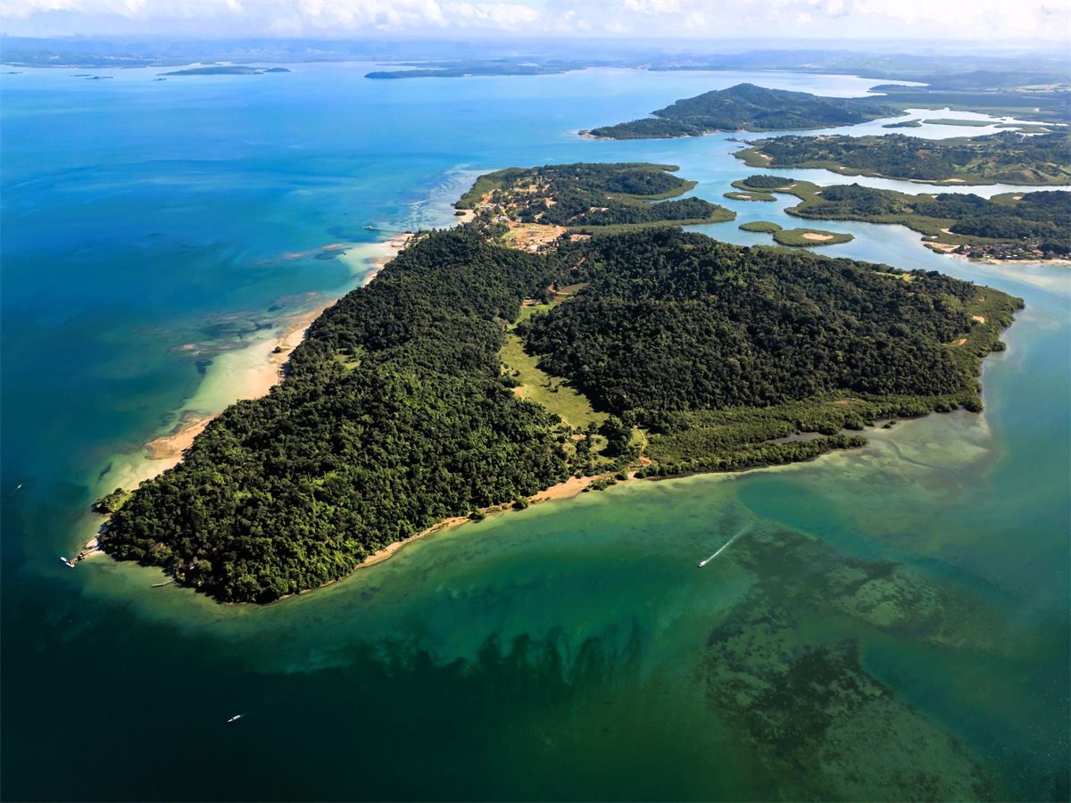 Ilha Bimbarras